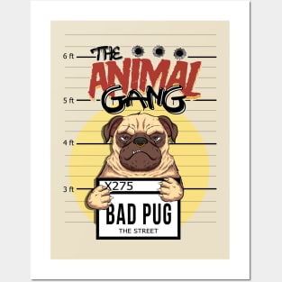 the animal gang pug urban style Posters and Art